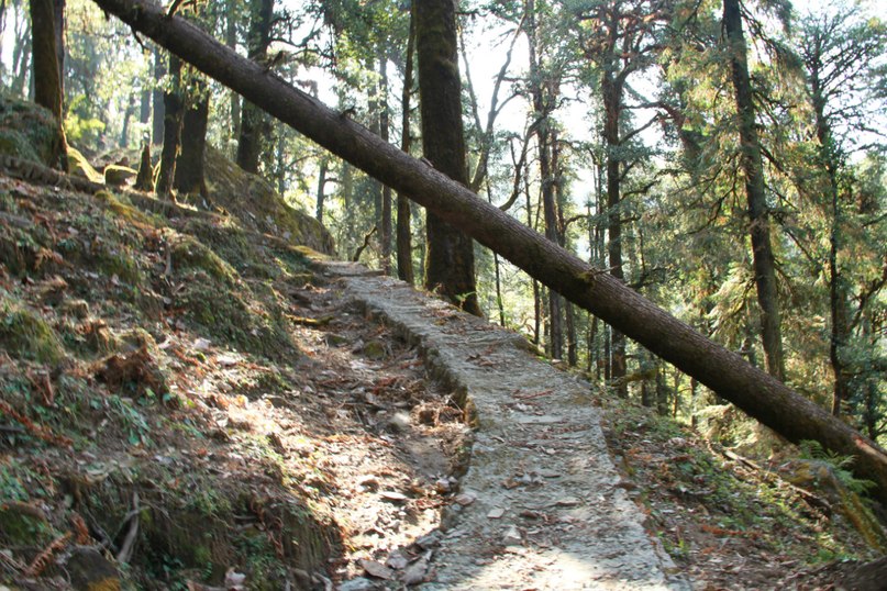 Oleg Nilov | Петрозаводск