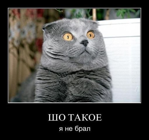 Слава Бойченко | San Francisco