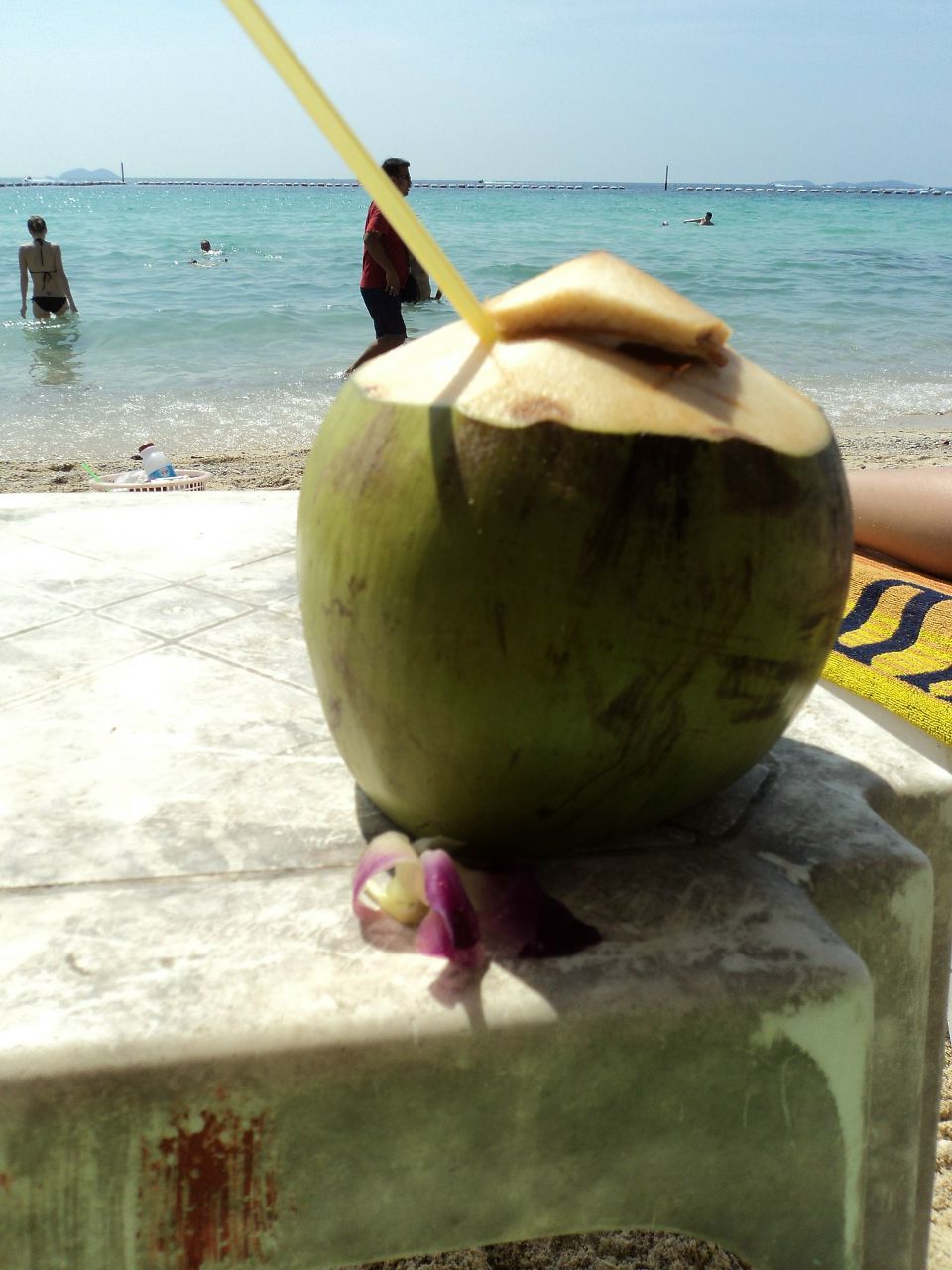 Наталья Лехова *Вивиан* | Новосибирск