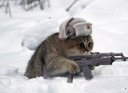 Валентин Соломаха | Киев