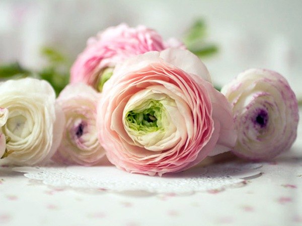 Мадина Бамбатова | Москва