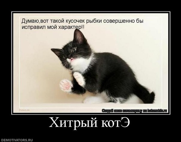 №85, Иван Гилёв, 30 лет, Михайловск №85, Иван Гилёв, 30 лет, Михайловск