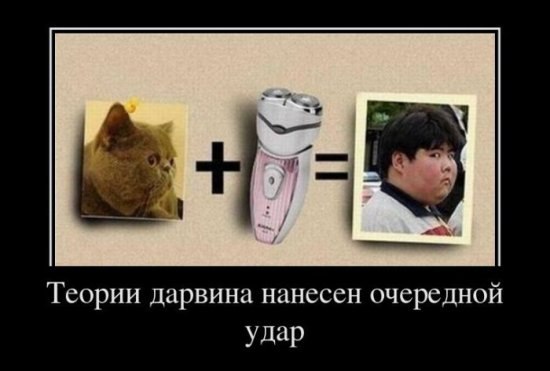 Елена Алексеева | Славянск