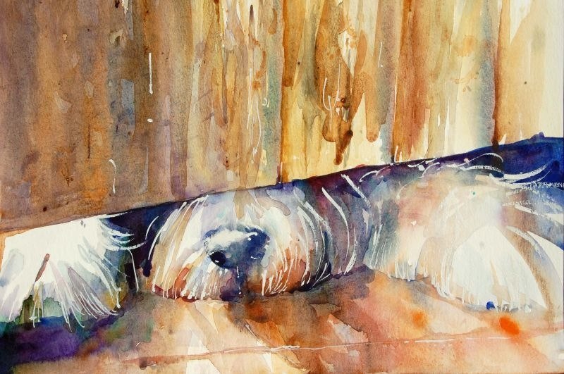 Альбина Новикова | Балтийск