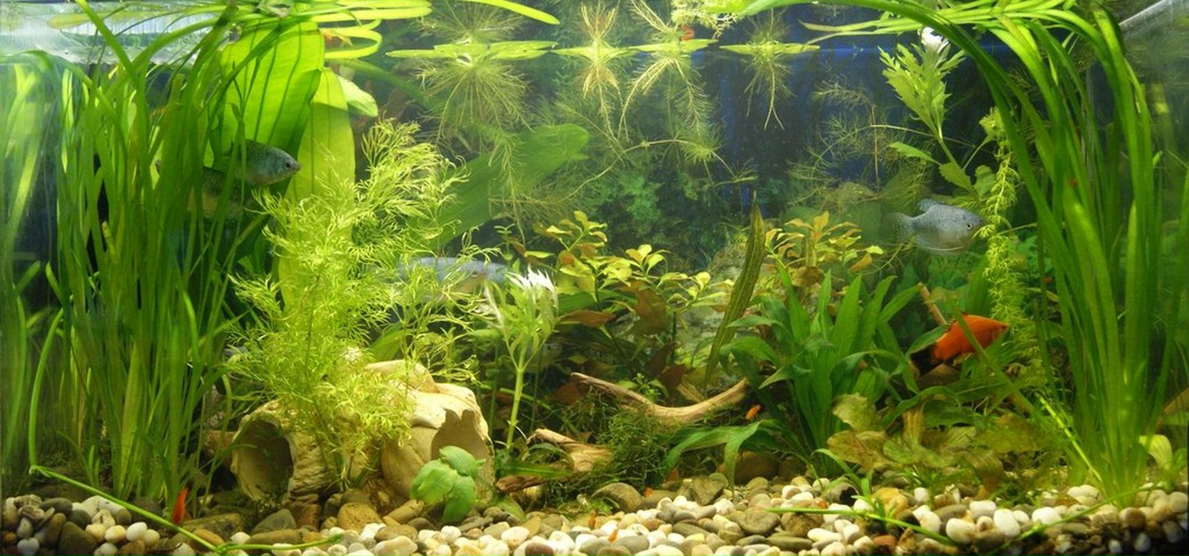 Василий Иванович | Казань