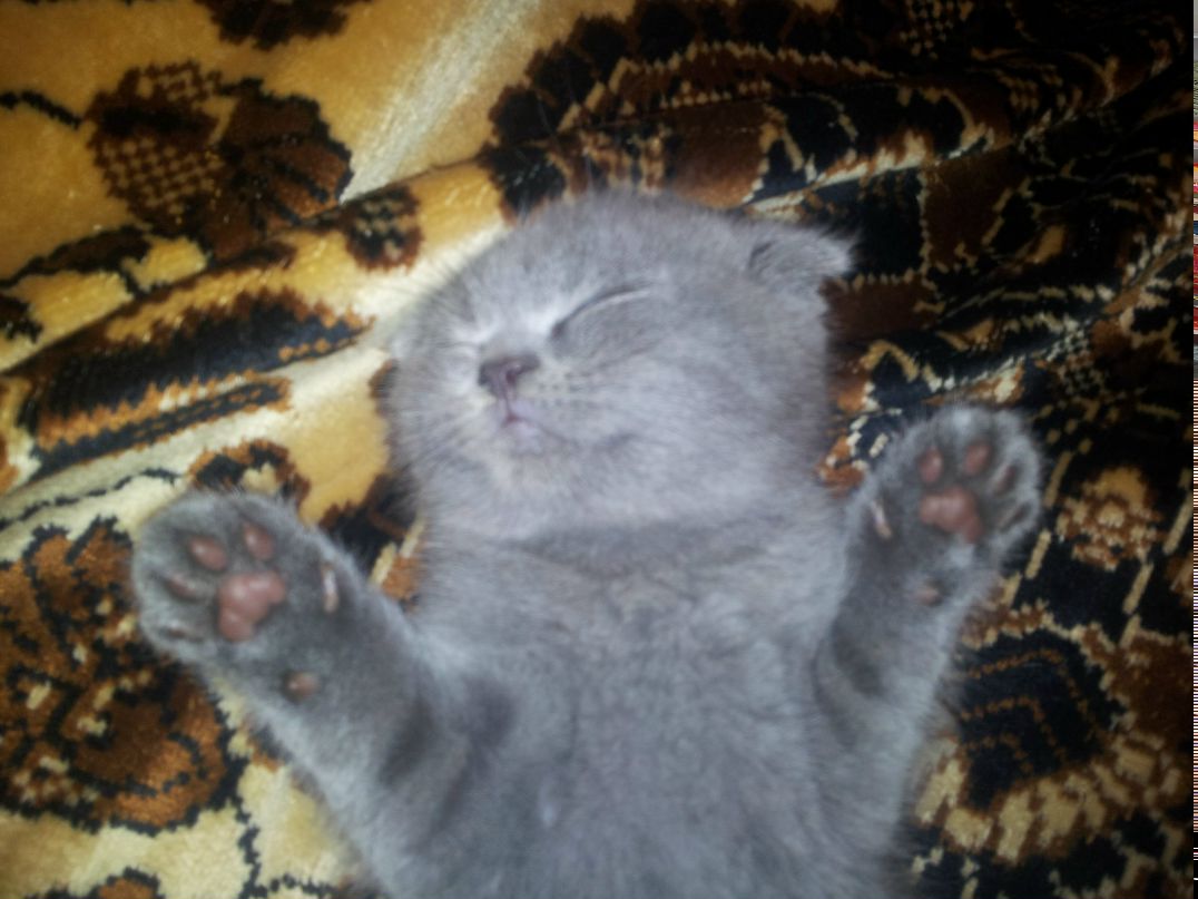 Альберт Гизатов | Кострома