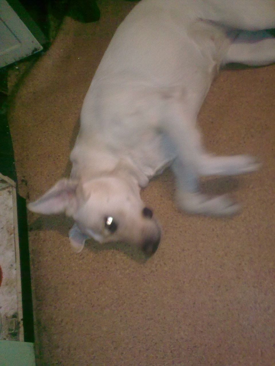 Марина Власенко | Киев