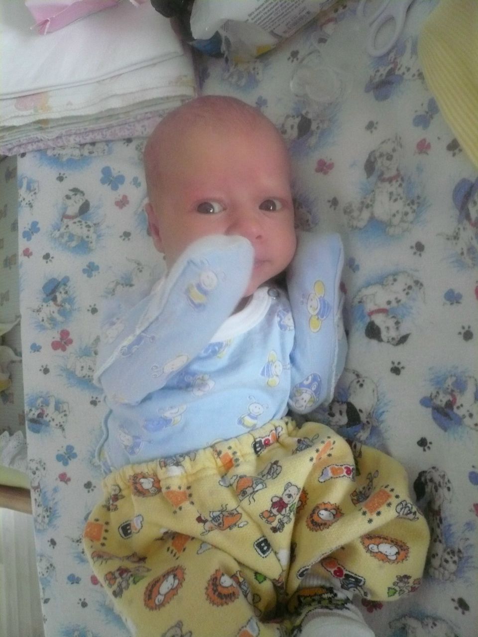 Александр Куварин | Сосновское