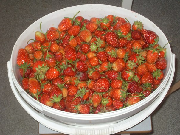 №6, Екатерина Говор №6, Екатерина Говор