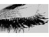 Юлия Чалая | Никополь