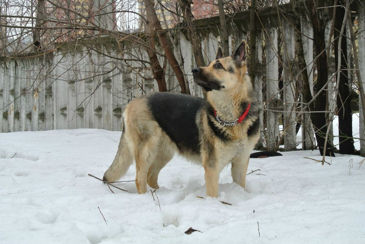 Тамара Рульникова | Москва