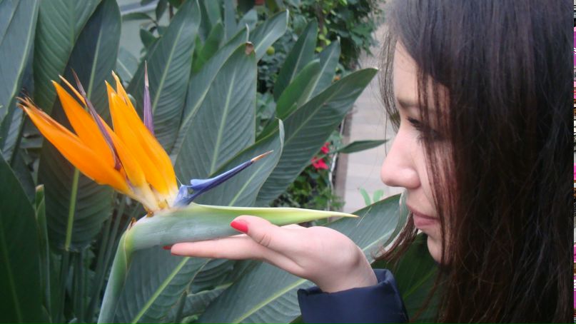 Юлия Сташевская | Харьков