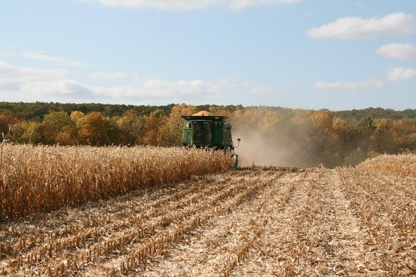 Денис Карасев | Чертково