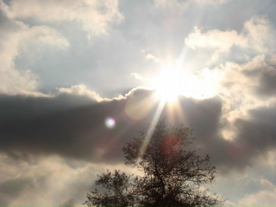 Рома Самборский | Киев