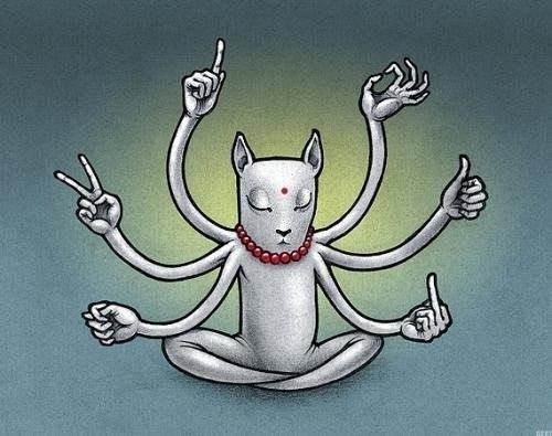 Дмитрий Ким | Хабаровск