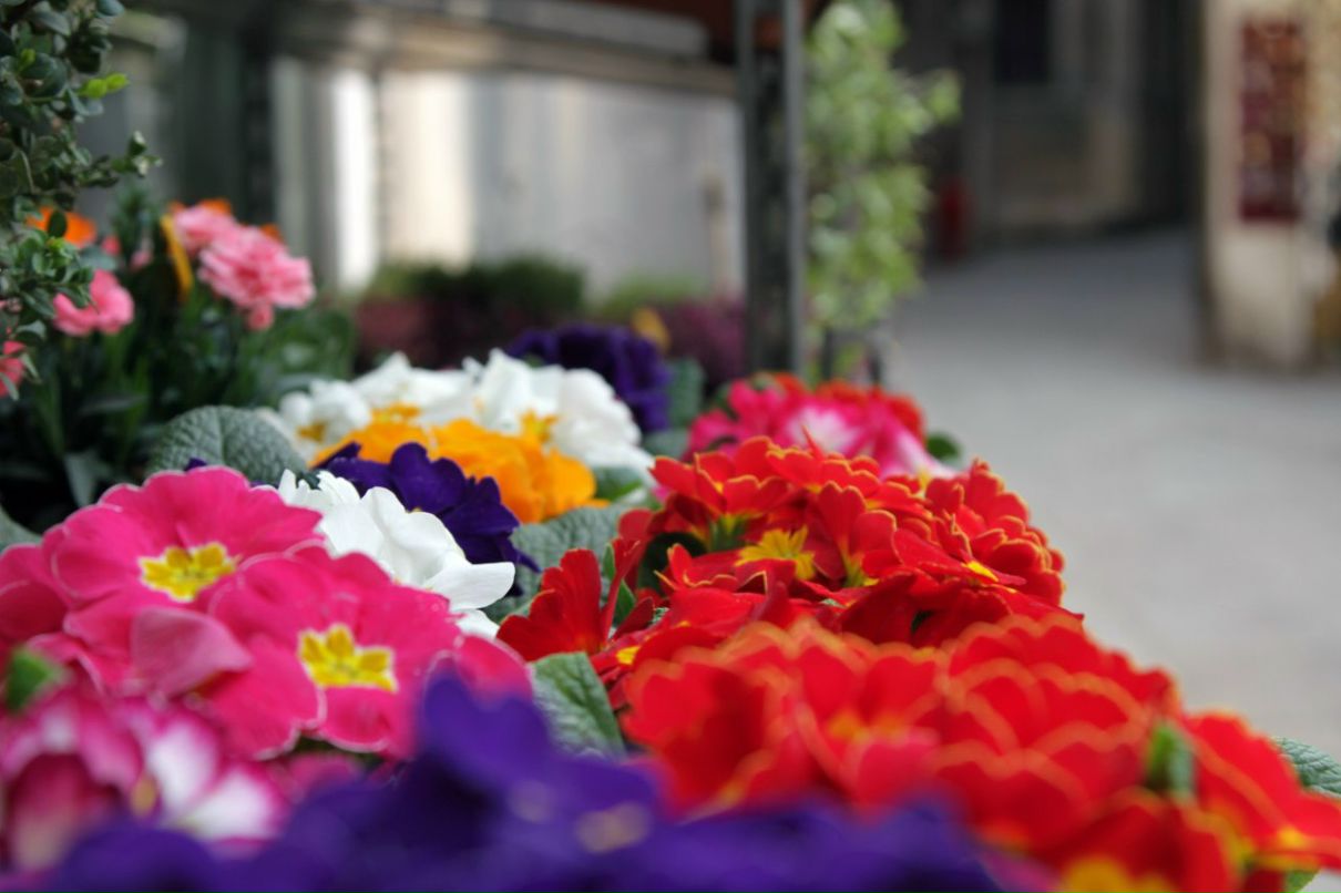 Анюта Четышева | Томилино