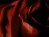 Марина Чернышова | Херсон