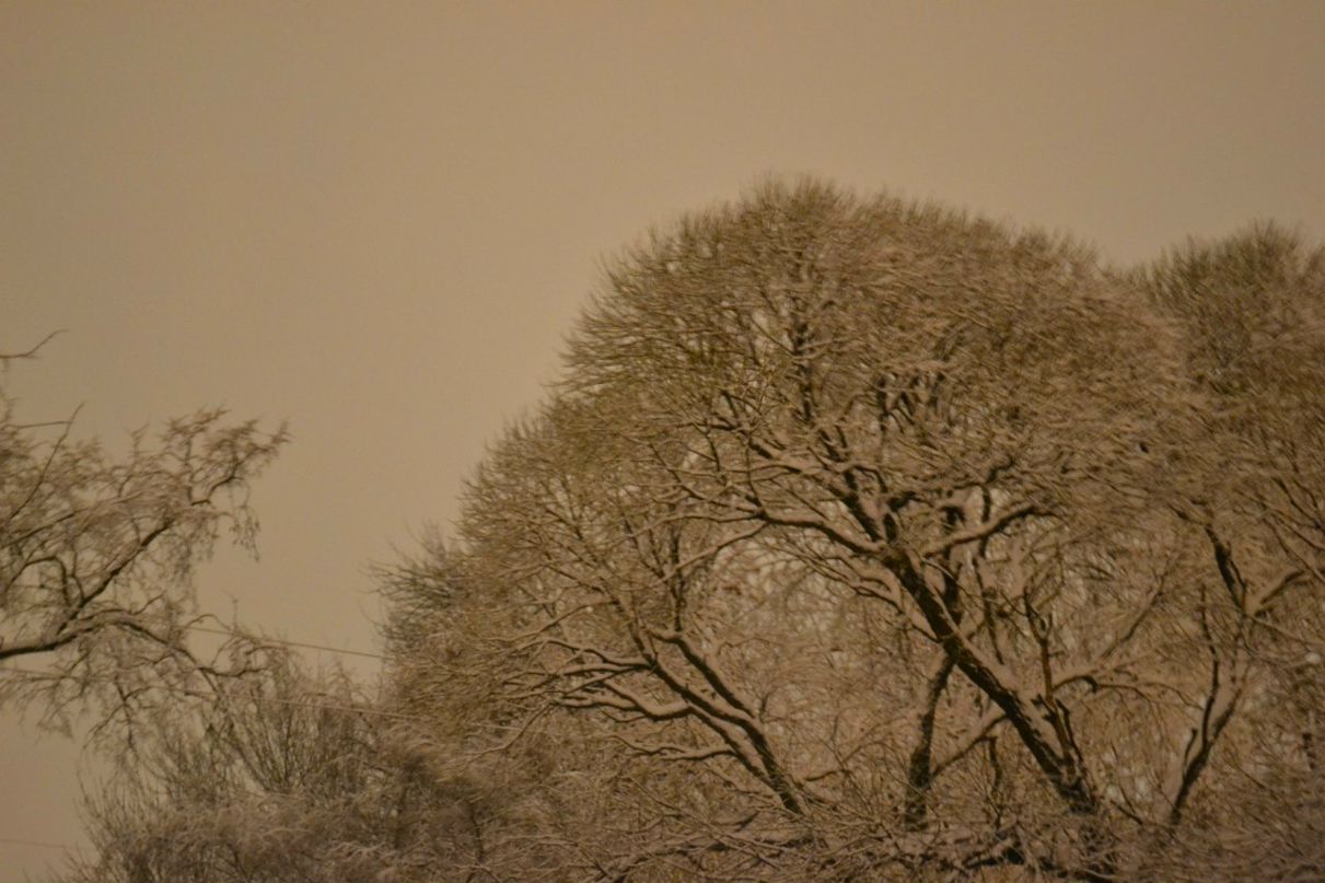 Андрей Горбунов | Montego Bay