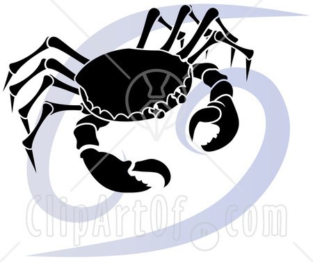 Андрей Рожков | Санкт-Петербург