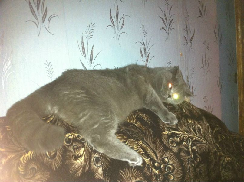 Евгений Калинин | Талдом