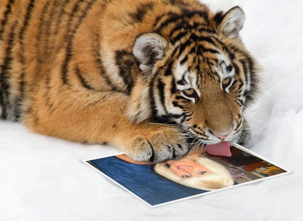 Юлия Егорова *Sweetest* | Нижний Новгород