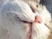 Мария Кузнецова фотография #21