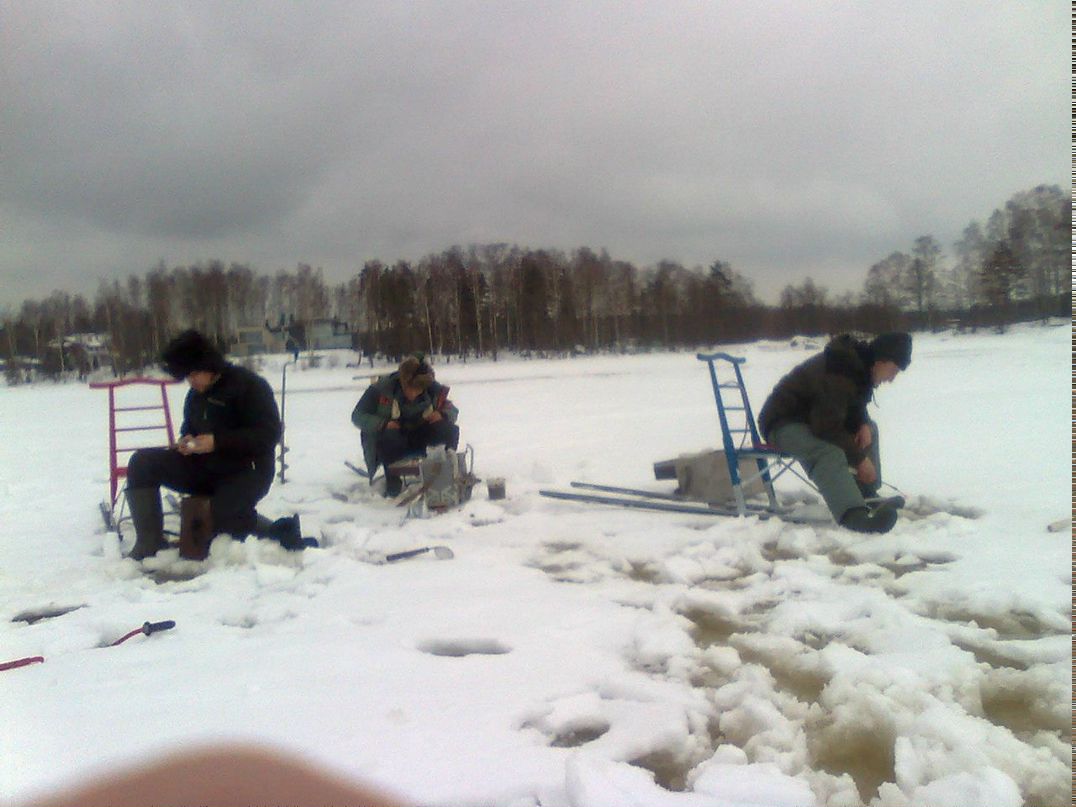 Евгений Никитин | Санкт-Петербург