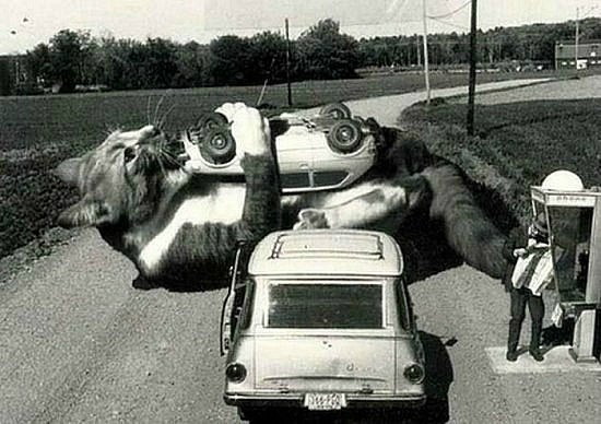 Виктор Напалков | 