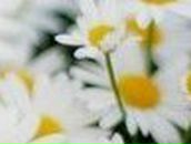 Даша Горявина | Кемерово