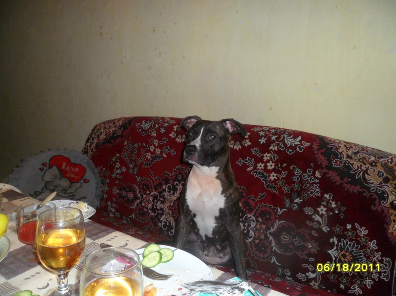 Валера Гурьянов | Вологда