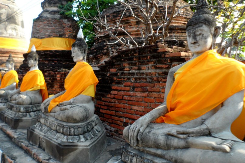 Виктория Носаченко | Москва