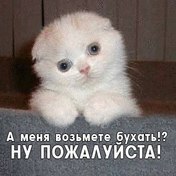 Денис Арсланов | Ухта