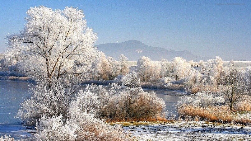 Леонид Семененко | Киев