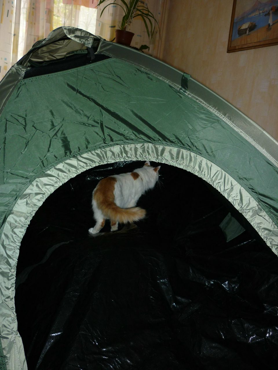 Людмила Белобродская | Воронеж