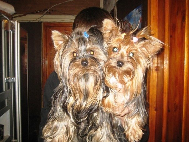 Ирина Хватова ●●● | Санкт-Петербург