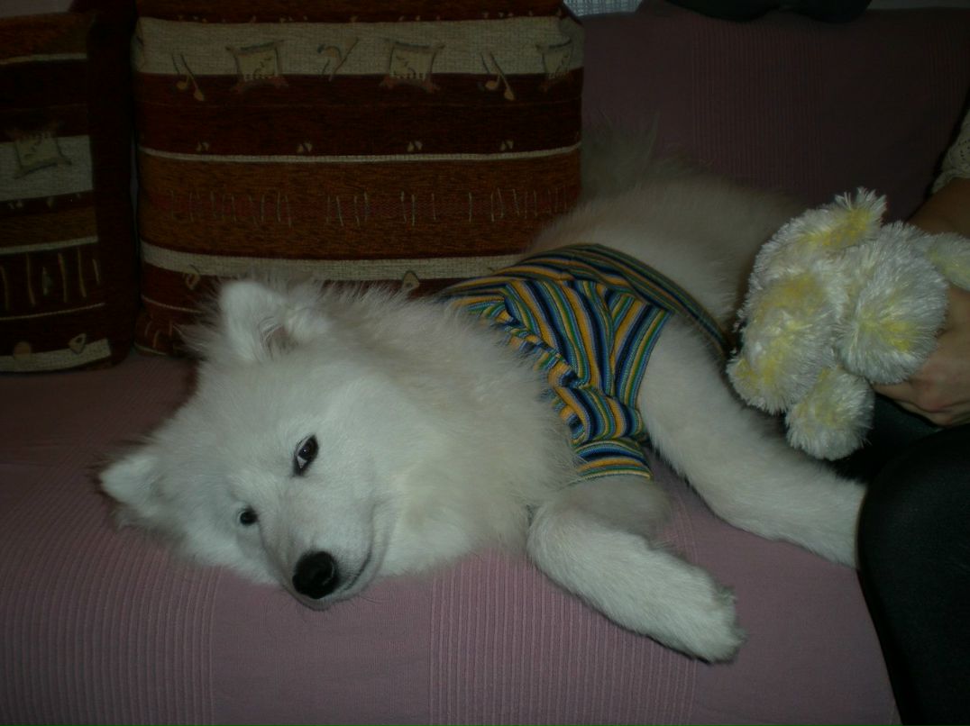 Олеся Пархоменко-Максимова | Pago Pago