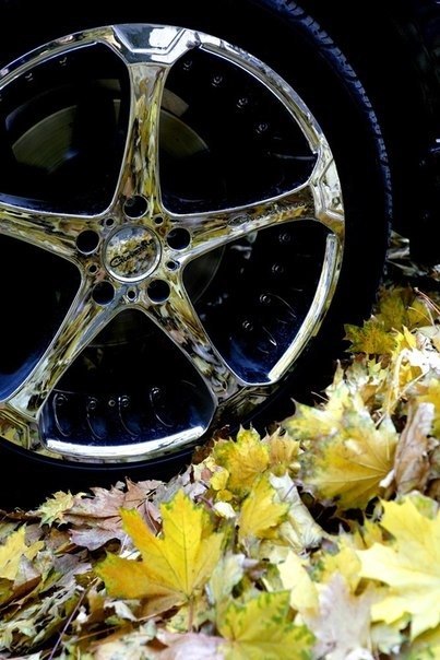 Никита Иванов | Киев