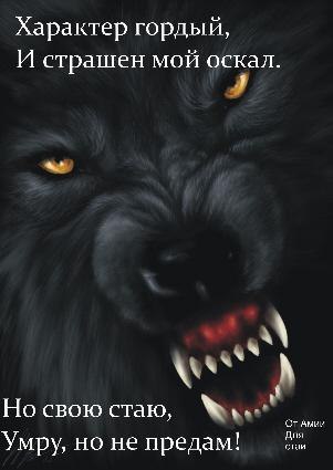 Игорь Трунов adidas StylE | Никополь