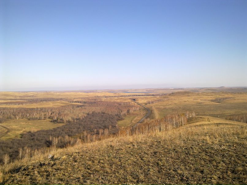 Стёпа Настечкин | 