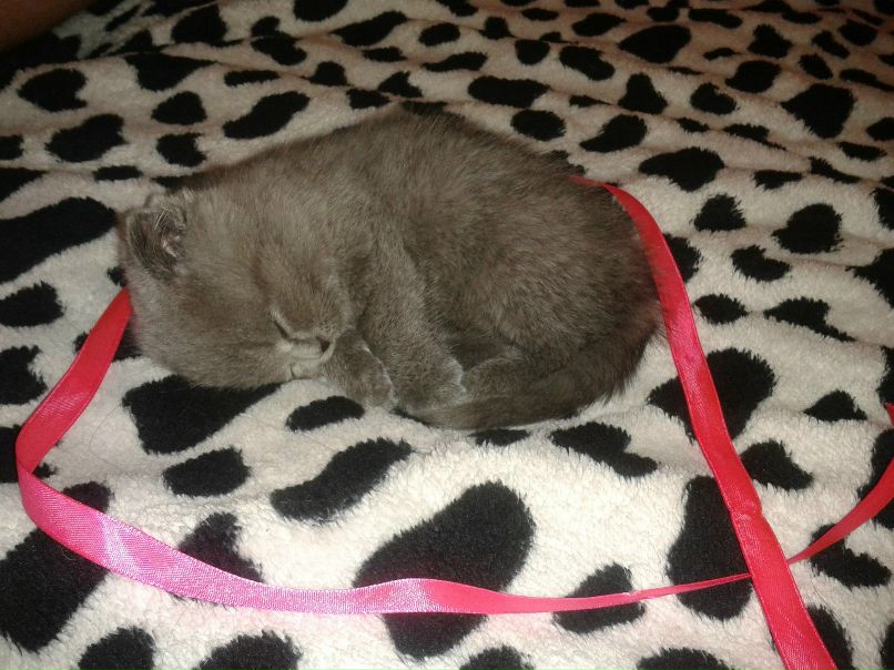 Любовь Назарова | Сочи