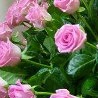 №70, Наталия Гмырина, 45 лет, Архангельск №70, Наталия Гмырина, 45 лет, Архангельск