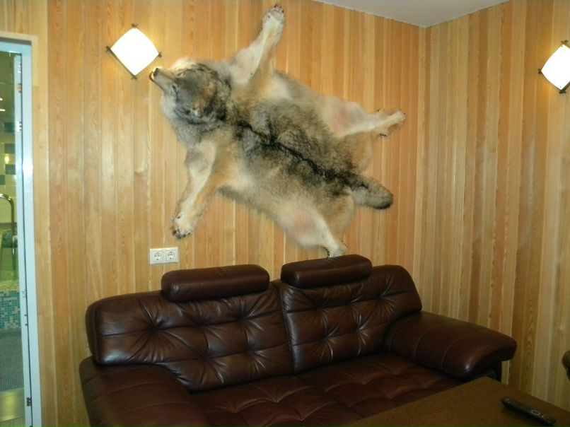 Юлия Завьялова | Ярославль