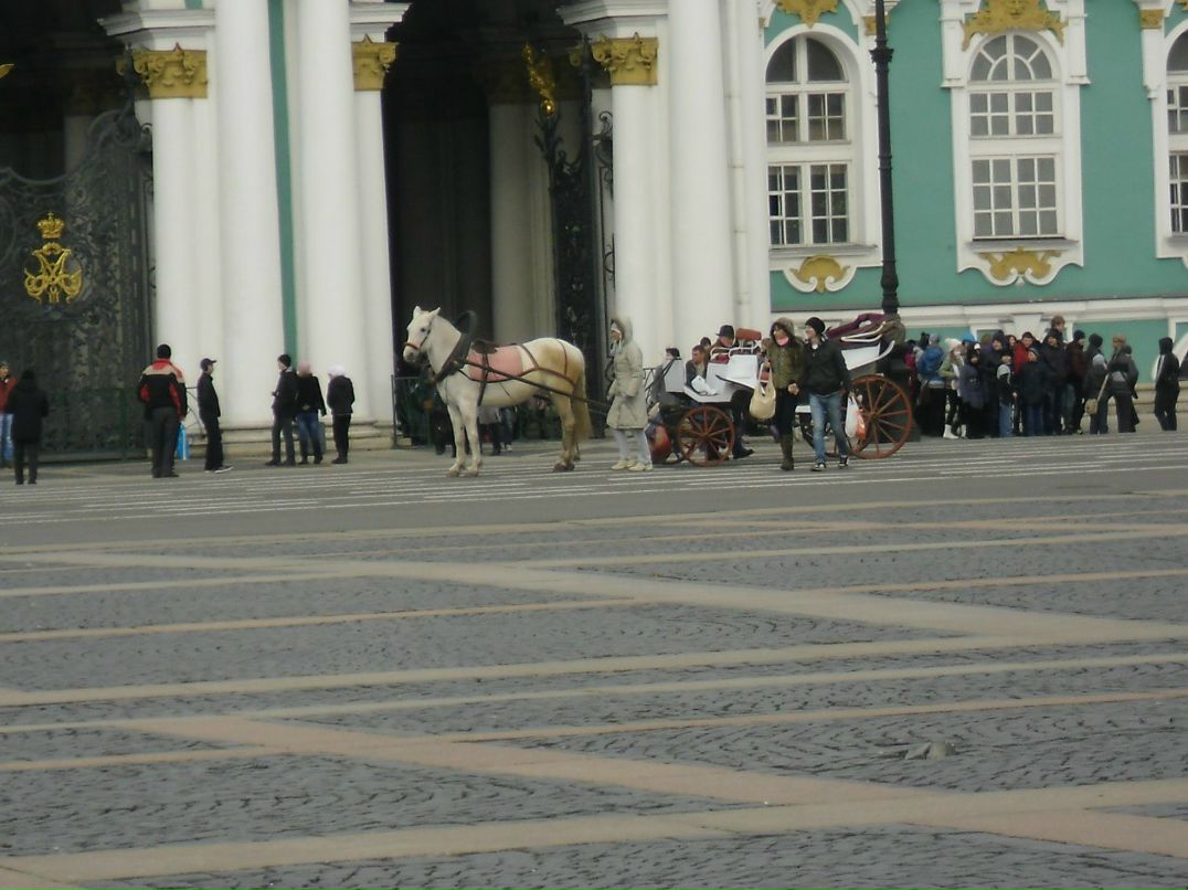 Владимир Аргунов | Клин
