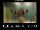 Фотография Лёля Шульга