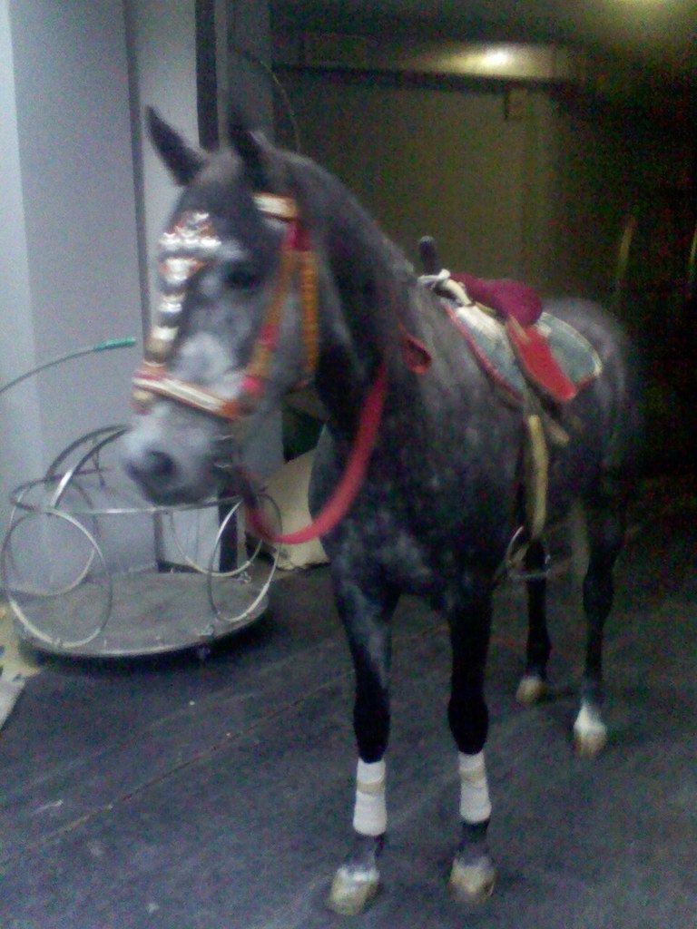 Ильдар Насыров дилусович | Ижевск