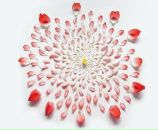 №18, Лизавета Гривенкова, 25.1, Санкт-Петербург, Россия