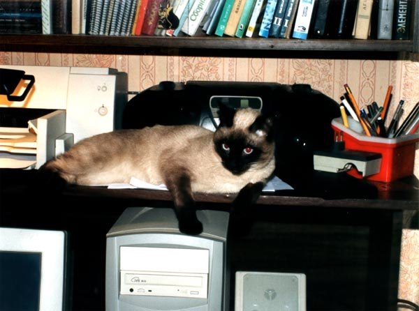 Костя Хлівний | Винница