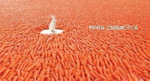 Дарина Шэрман | Санкт-Петербург