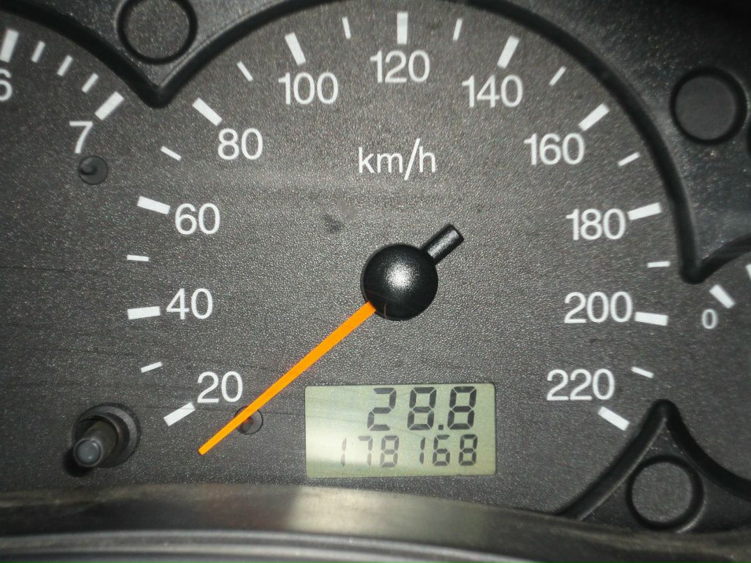 Николай Шилов | Сестрорецк