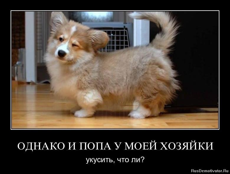 Андрюха Санников | Йошкар-Ола